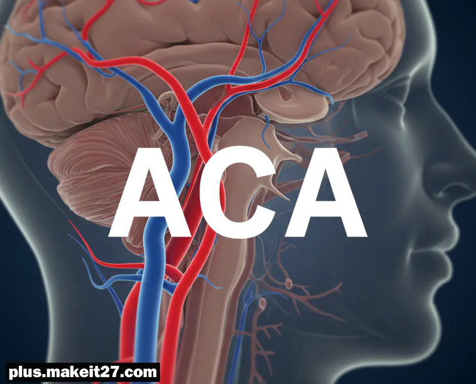 ACA 의학용어