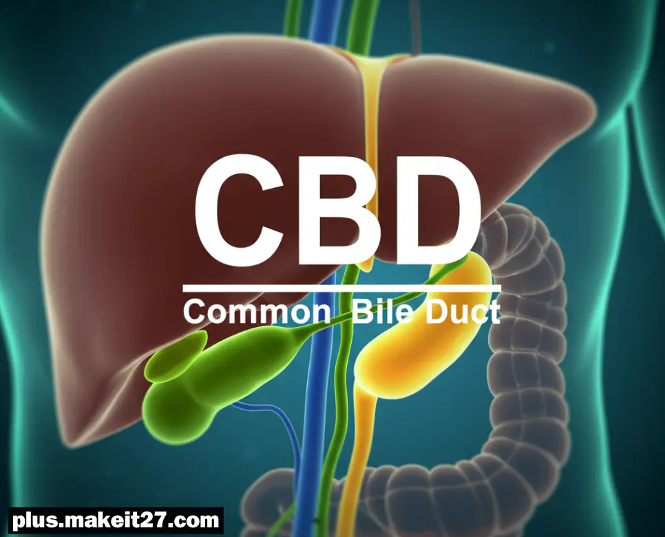 CBD 의학용어