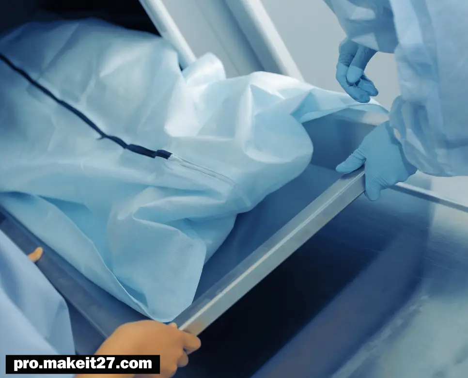 PM 의학용어, ECG 의학용어, PMC 의학용어