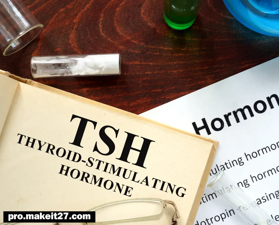 TSH 의학용어