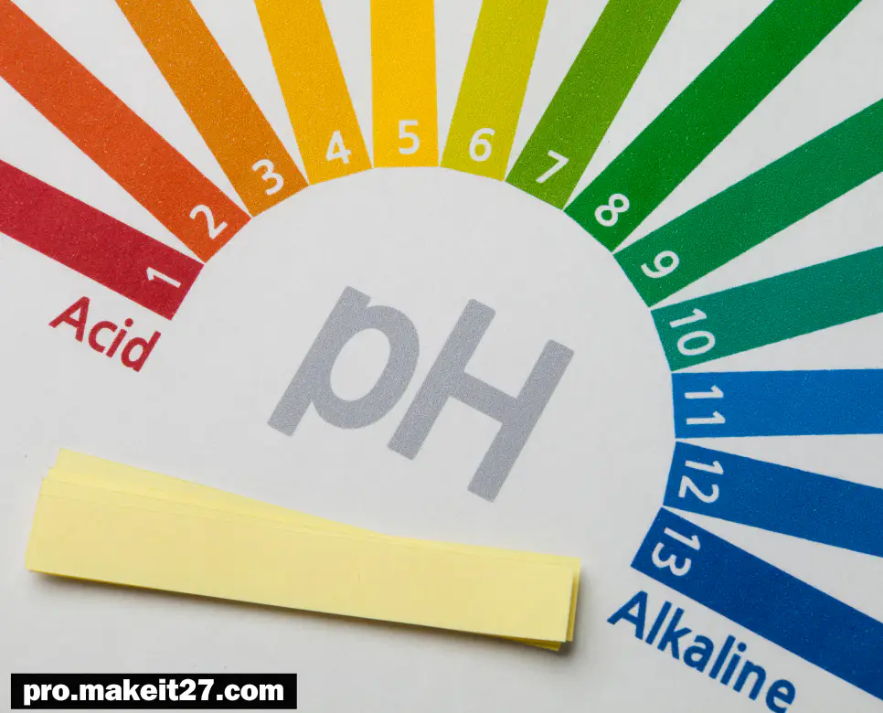 산성 뜻, 염기성 뜻, 양성 뜻: 화학적 성질과 그 차이점