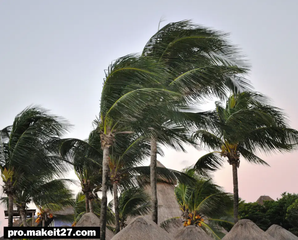 돌풍 뜻, 태풍 뜻, 편서풍 뜻: 변화무쌍한 바람의 힘