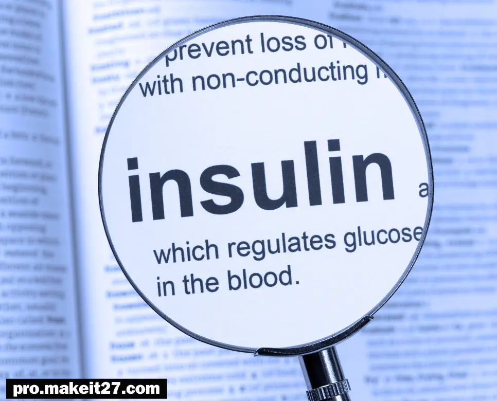 인슐린 뜻, 콜레스테롤 뜻, 신진대사 뜻: 우리 몸을 조절하는 생명 유지 시스템 인슐린 뜻, 콜레스테롤 뜻, 신진대사 뜻: 우리 몸을 조절하는 생명 유지 시스템