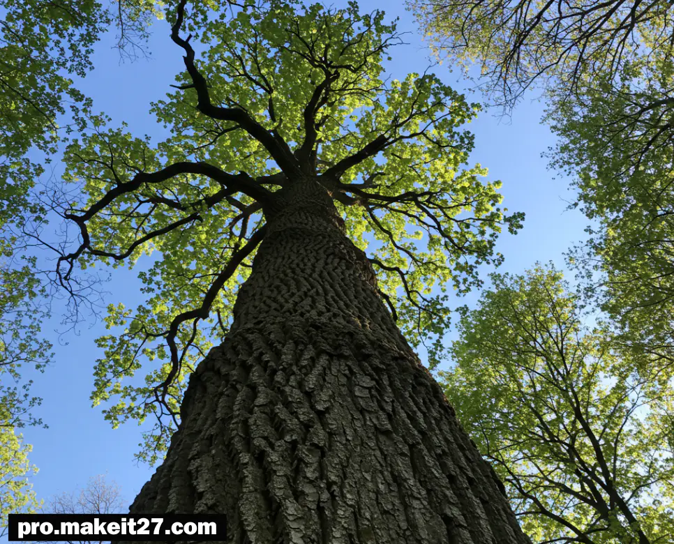 우듬지 뜻, 잔망스럽다 뜻, 푸념 뜻: 나무 끝의 희망, 귀여운 장난기, 그리고 속마음의 토로